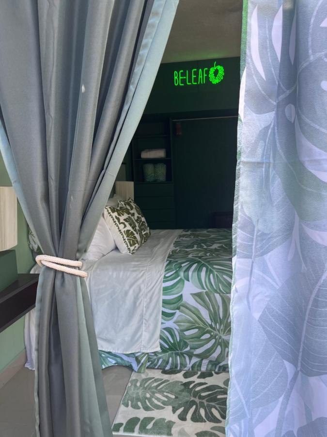Dici Co-Living Housing Cabo San Lucas Bed & Breakfast Eksteriør bilde