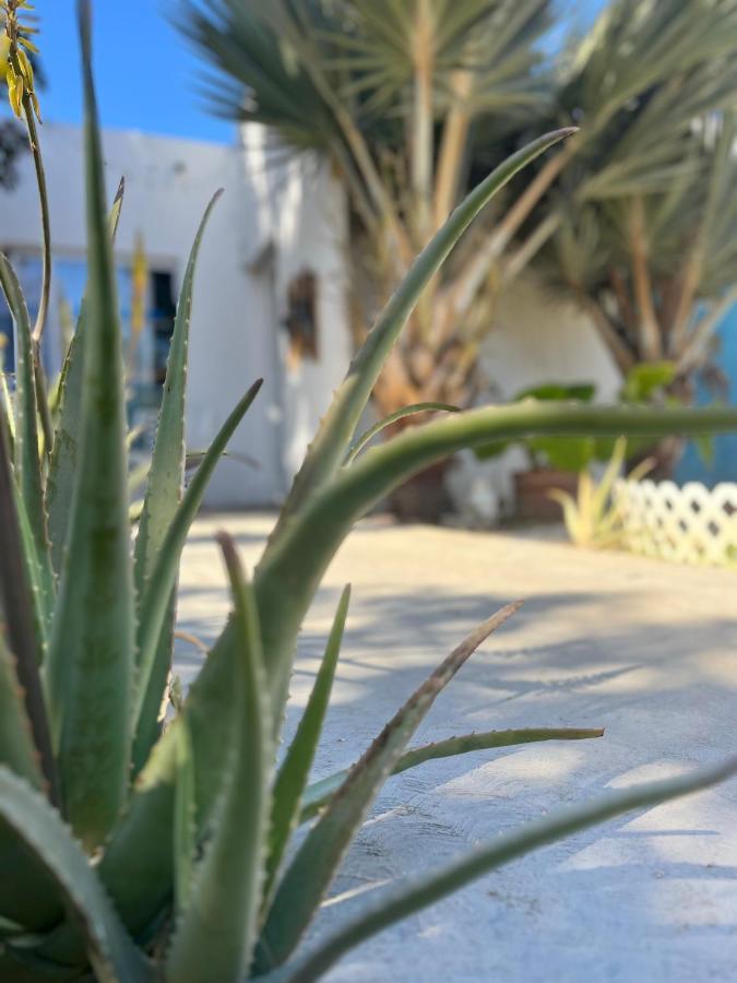 Dici Co-Living Housing Cabo San Lucas Bed & Breakfast Eksteriør bilde