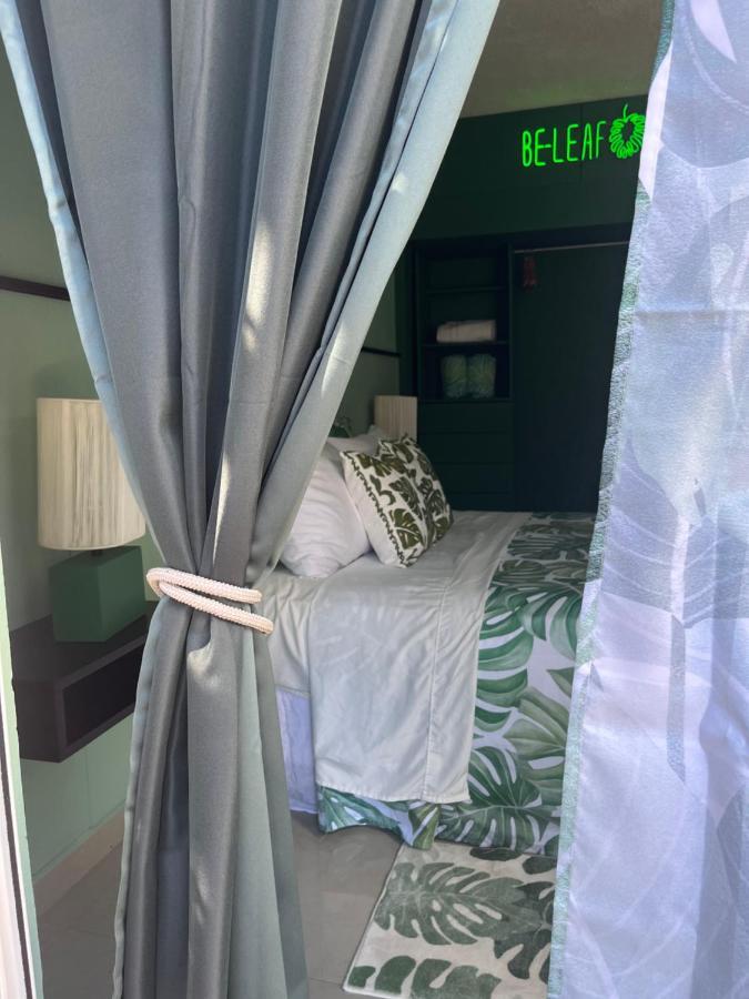 Dici Co-Living Housing Cabo San Lucas Bed & Breakfast Eksteriør bilde