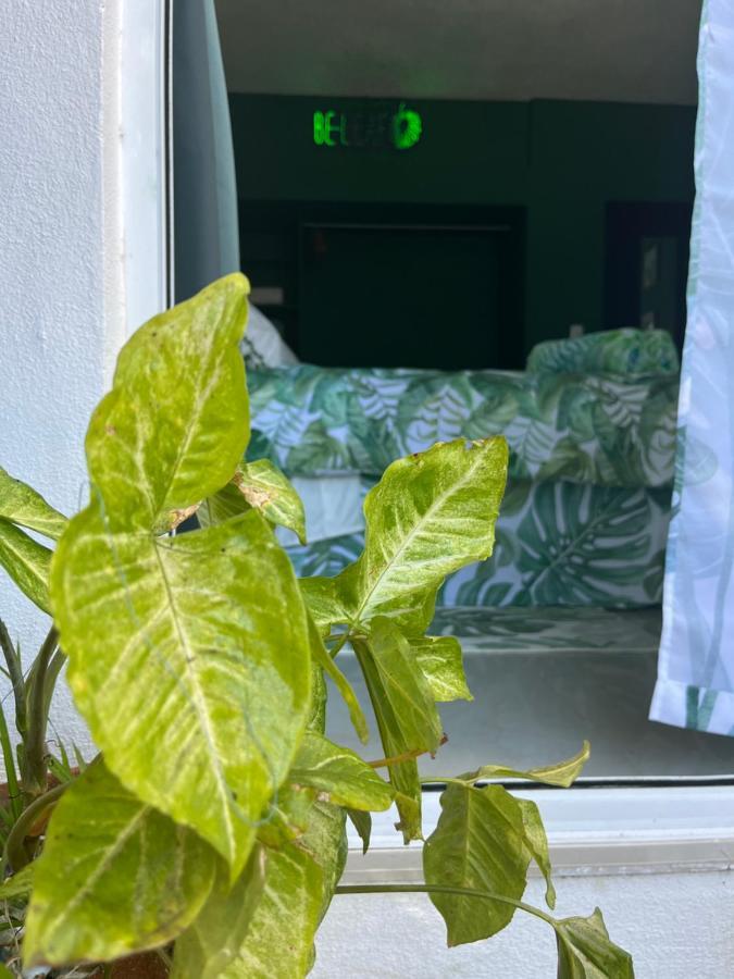 Dici Co-Living Housing Cabo San Lucas Bed & Breakfast Eksteriør bilde