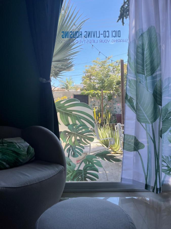 Dici Co-Living Housing Cabo San Lucas Bed & Breakfast Eksteriør bilde
